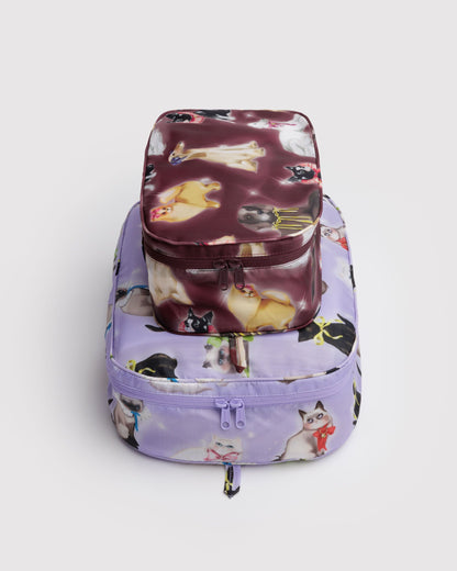 Fancy Animals,os